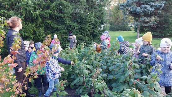 Grafika #40: 11.10.2022 W sadzie i ogrodzie gr III