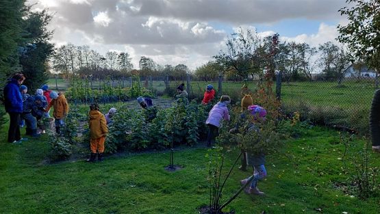 Grafika #42: 11.10.2022 W sadzie i ogrodzie gr III