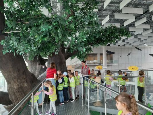 Grafika #62: 27.09.2022 Wycieczka do Centrum Nauki Experyment w Gdyni gr. III