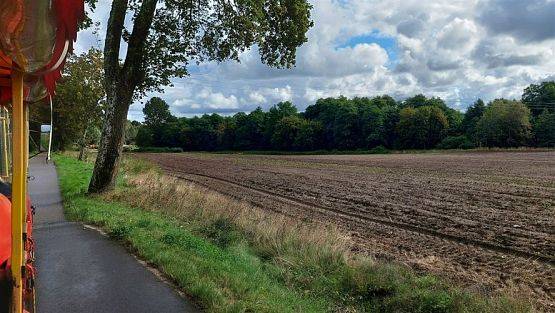 Grafika #10: 20.09.2022 Dzień Przedszkolaka z "Bajkową kolejką"