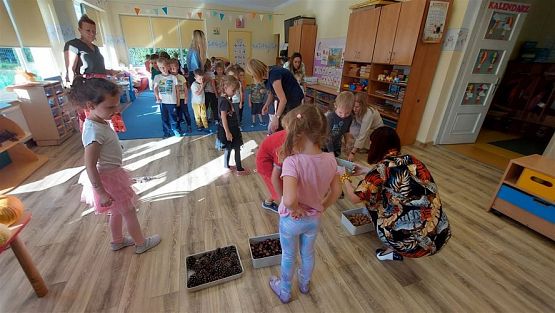 Grafika #72: 25.09.2023 Pożegnanie lata - Powitanie jesieni cz. I