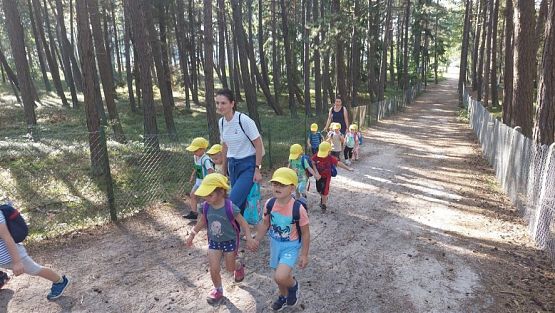 Grafika #35: 12.09.2023 Wycieczka do Łeby gr I