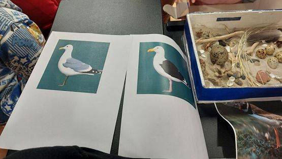 Grafika #58: 30.10.2023 Wyjazd edukacyjny do Biblioteki Miejskiej w Łebie cz.II