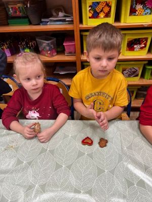 Grafika #8: 18.12.2023 Pieczemy pierniczki gr II