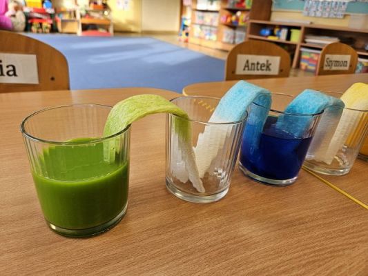 Grafika #42: 05.02.2024 Zabawy badawcze w gr I