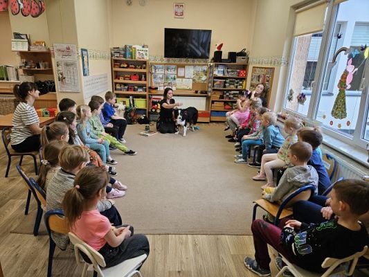 Grafika #0: 12.03.2024 Dogoterapia - gr II