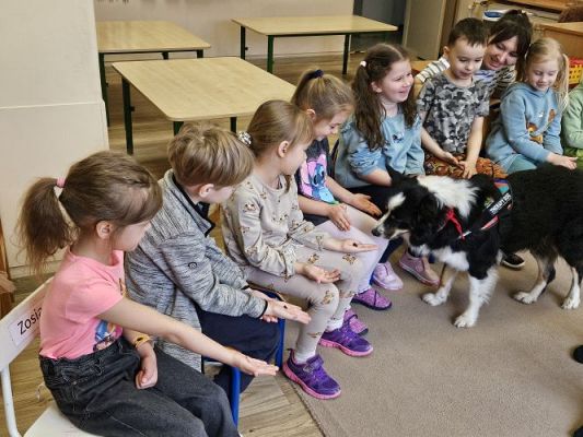 Grafika #7: 12.03.2024 Dogoterapia - gr II