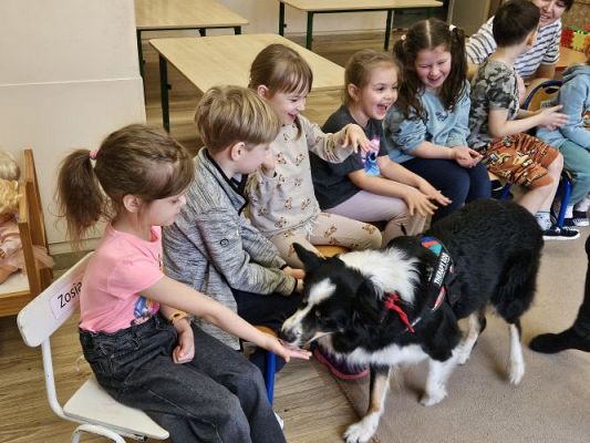 Grafika #9: 12.03.2024 Dogoterapia - gr II