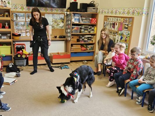 Grafika #11: 12.03.2024 Dogoterapia - gr II