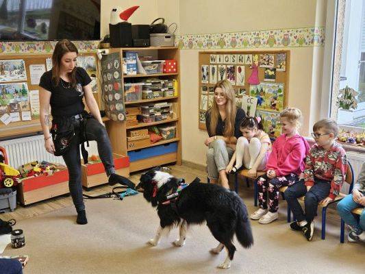 Grafika #14: 12.03.2024 Dogoterapia - gr II