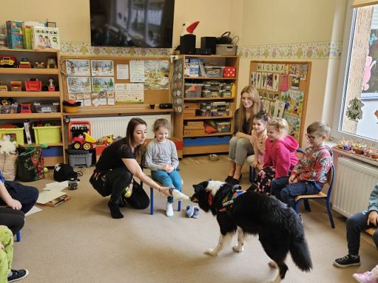 Grafika #17: 12.03.2024 Dogoterapia - gr II