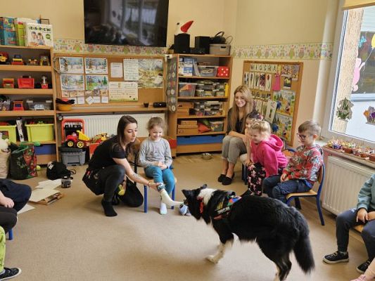 Grafika #18: 12.03.2024 Dogoterapia - gr II