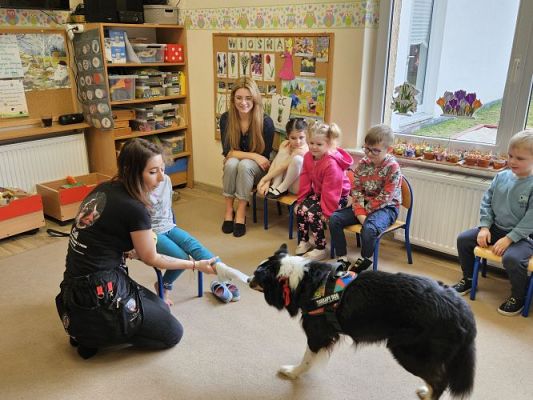 Grafika #19: 12.03.2024 Dogoterapia - gr II