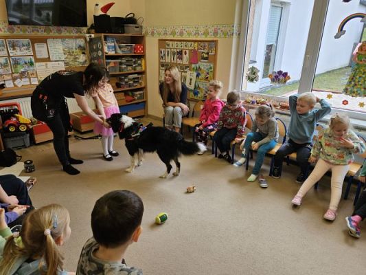 Grafika #23: 12.03.2024 Dogoterapia - gr II