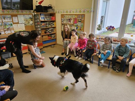 Grafika #24: 12.03.2024 Dogoterapia - gr II