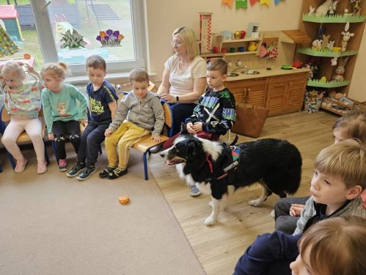 Grafika #25: 12.03.2024 Dogoterapia - gr II