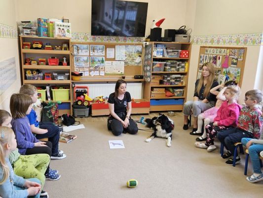 Grafika #28: 12.03.2024 Dogoterapia - gr II