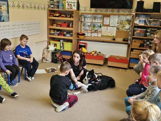 Grafika #29: 12.03.2024 Dogoterapia - gr II