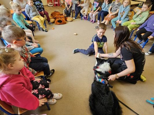 Grafika #30: 12.03.2024 Dogoterapia - gr II