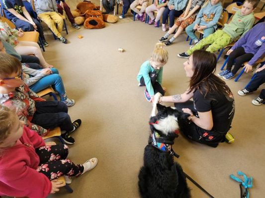 Grafika #31: 12.03.2024 Dogoterapia - gr II