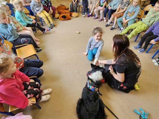 Grafika #34: 12.03.2024 Dogoterapia - gr II