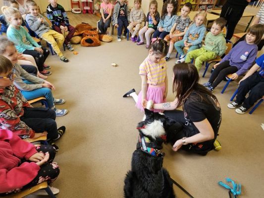 Grafika #37: 12.03.2024 Dogoterapia - gr II