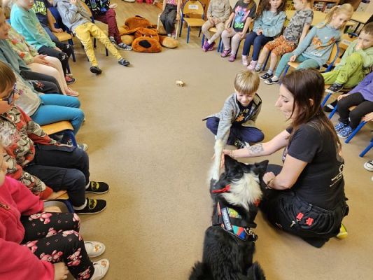 Grafika #39: 12.03.2024 Dogoterapia - gr II