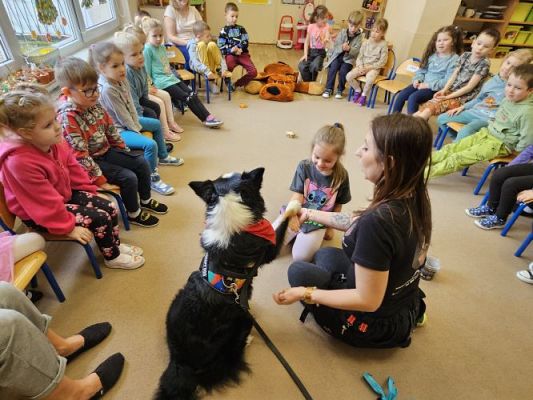 Grafika #42: 12.03.2024 Dogoterapia - gr II