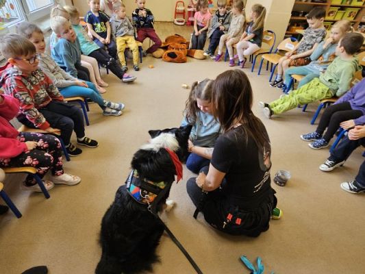 Grafika #43: 12.03.2024 Dogoterapia - gr II