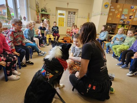 Grafika #44: 12.03.2024 Dogoterapia - gr II