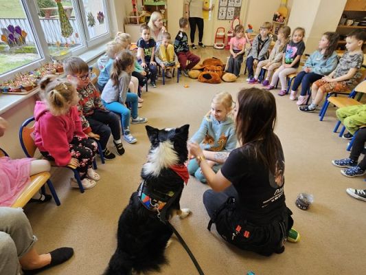 Grafika #45: 12.03.2024 Dogoterapia - gr II