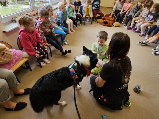 Grafika #46: 12.03.2024 Dogoterapia - gr II