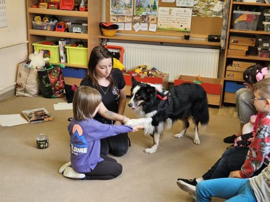 Grafika #47: 12.03.2024 Dogoterapia - gr II