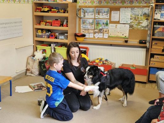 Grafika #48: 12.03.2024 Dogoterapia - gr II