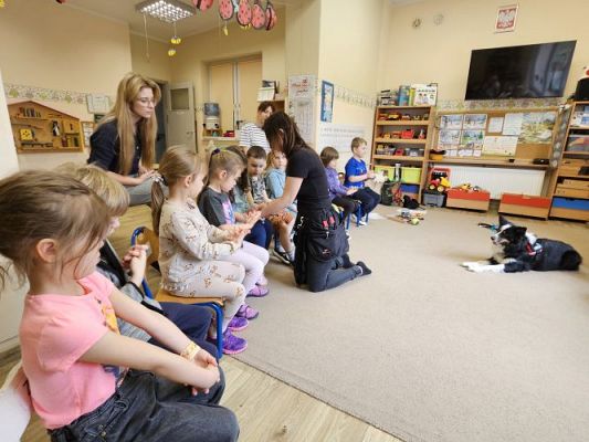 Grafika #58: 12.03.2024 Dogoterapia - gr II