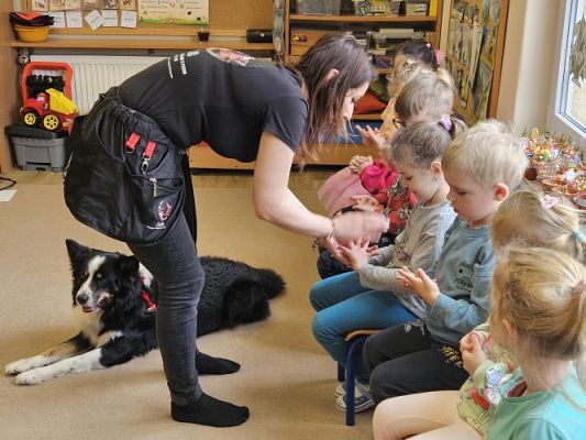 Grafika #61: 12.03.2024 Dogoterapia - gr II