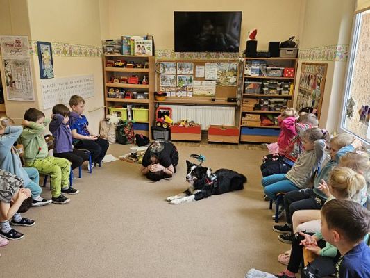 Grafika #65: 12.03.2024 Dogoterapia - gr II