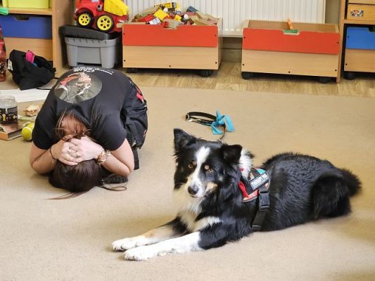 Grafika #66: 12.03.2024 Dogoterapia - gr II