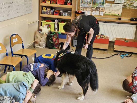 Grafika #68: 12.03.2024 Dogoterapia - gr II