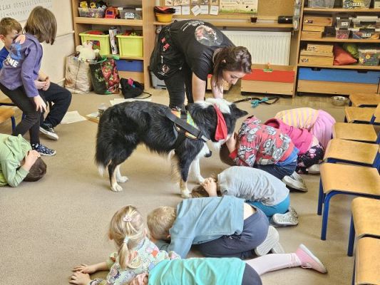 Grafika #72: 12.03.2024 Dogoterapia - gr II