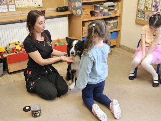 Grafika #84: 12.03.2024 Dogoterapia - gr II