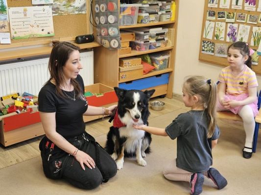 Grafika #85: 12.03.2024 Dogoterapia - gr II