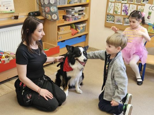 Grafika #87: 12.03.2024 Dogoterapia - gr II