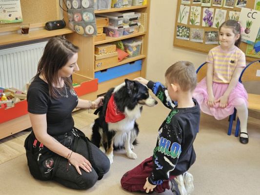 Grafika #88: 12.03.2024 Dogoterapia - gr II