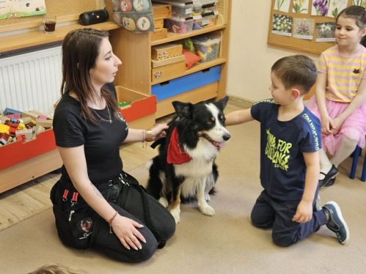 Grafika #90: 12.03.2024 Dogoterapia - gr II