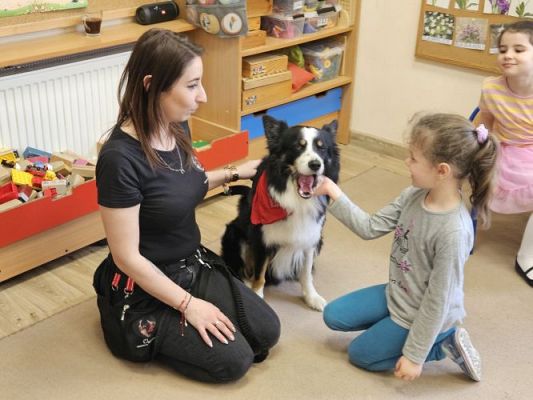 Grafika #94: 12.03.2024 Dogoterapia - gr II