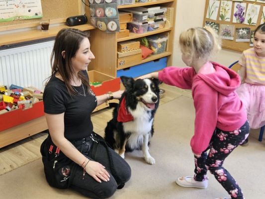 Grafika #96: 12.03.2024 Dogoterapia - gr II