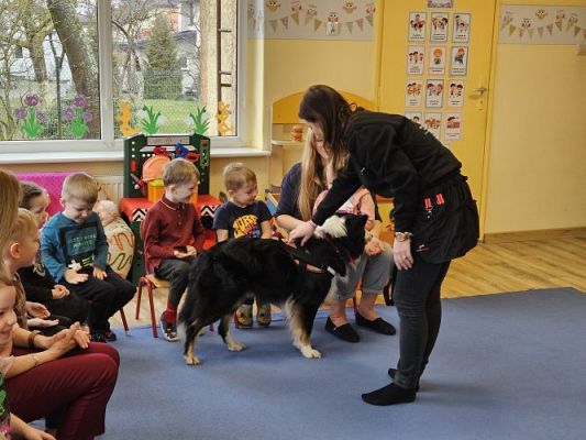 Grafika #14: 12.03.2024 Dogoterapia - gr I