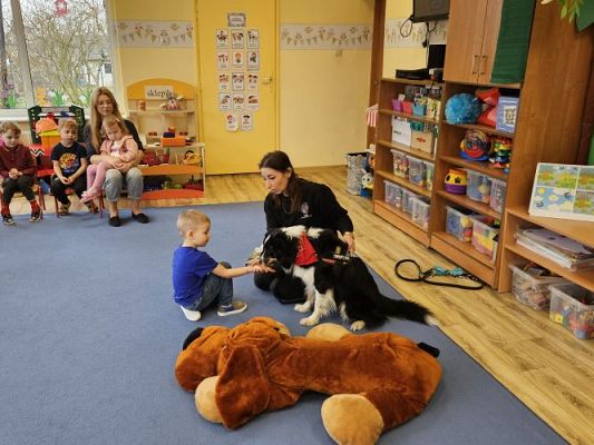 Grafika #16: 12.03.2024 Dogoterapia - gr I