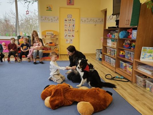 Grafika #17: 12.03.2024 Dogoterapia - gr I